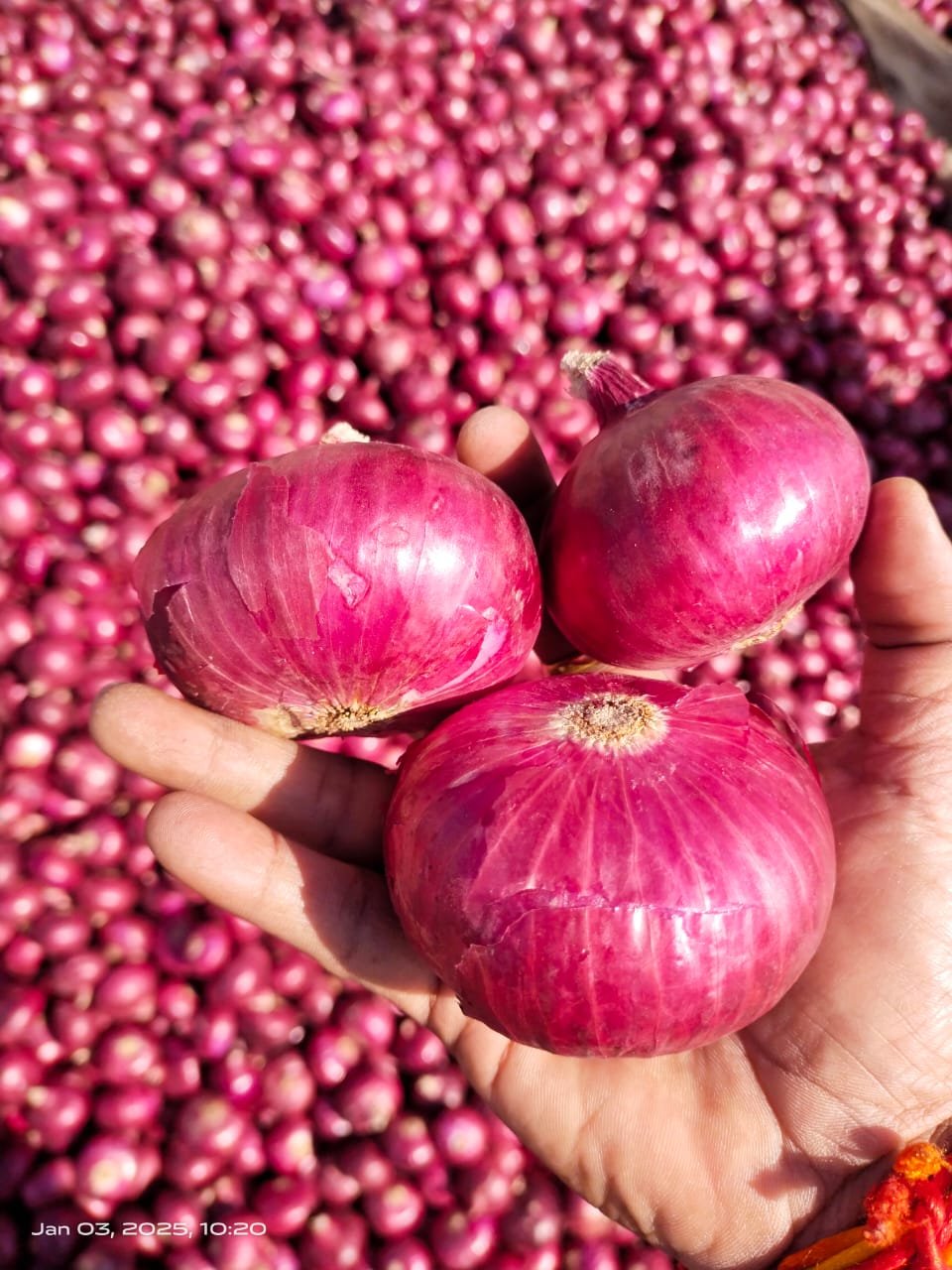 Intense bathroom cleaning